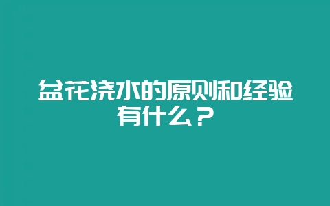 盆花浇水的原则和经验有什么?插图 盆花浇水的原则和经验有什么?插图
