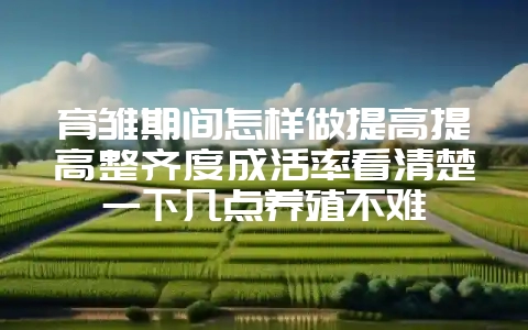 育雏期间怎样做提高提高整齐度成活率看清楚一下几点养殖不难-会东网