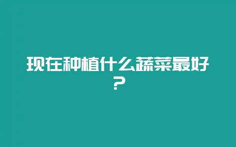 现在种植什么蔬菜最好？-会东网