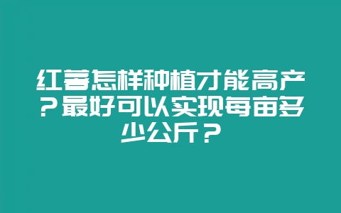 红薯怎样种植才能高产?最好可以实现每亩多少公斤?插图 红薯怎样种植才能高产?最好可以实现每亩多少公斤?插图