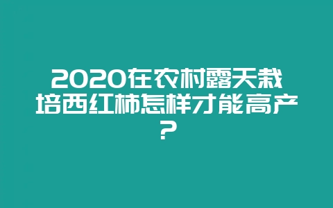 2020在农村露天栽培西红柿怎样才能高产？-会东网