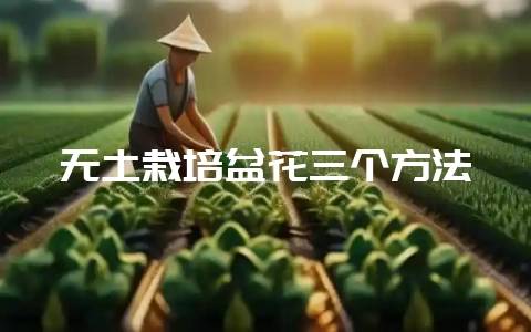 无土栽培盆花三个方法-会东网