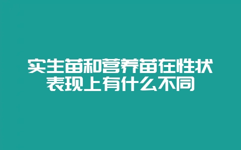 实生苗和营养苗在性状表现上有什么不同-会东网