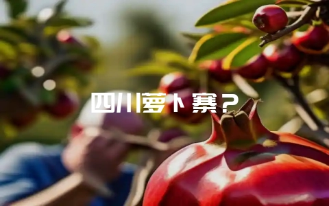 四川萝卜寨？-会东网