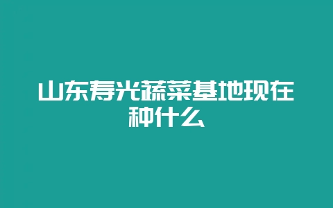 山东寿光蔬菜基地现在种什么-会东网