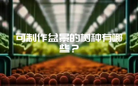 可制作盆景的树种有哪些？-会东网