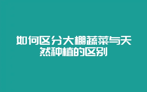 如何区分大棚蔬菜与天然种植的区别-会东网