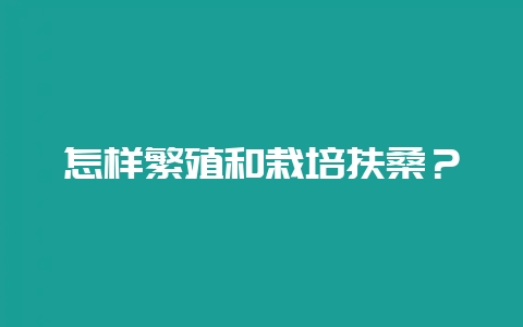 怎样繁殖和栽培扶桑？-会东网