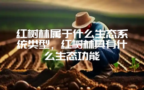 红树林属于什么生态系统类型,红树林具有什么生态功能插图 红树林属于什么生态系统类型,红树林具有什么生态功能插图