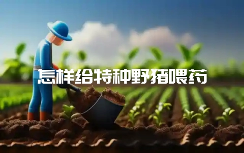 怎样给特种野猪喂药-会东网