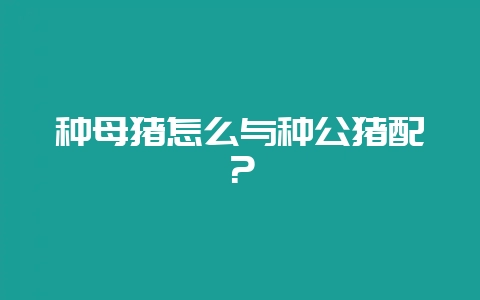 种母猪怎么与种公猪配？-会东网