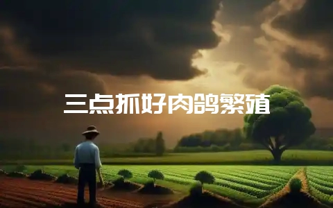 三点抓好肉鸽繁殖-会东网