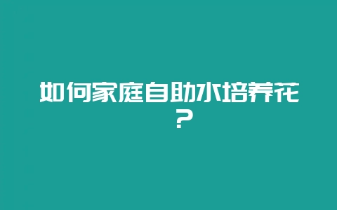如何家庭自助水培养花卉？-会东网