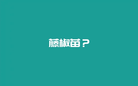 藤椒苗？-会东网