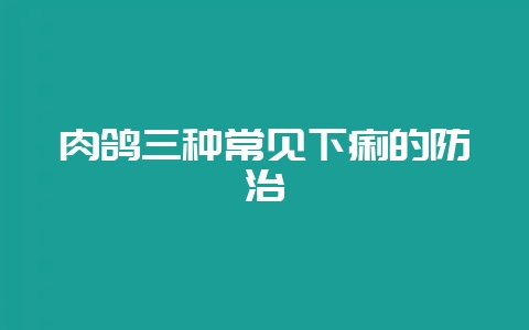 肉鸽三种常见下痢的防治-会东网