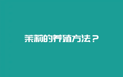 茉莉的养殖方法？-会东网