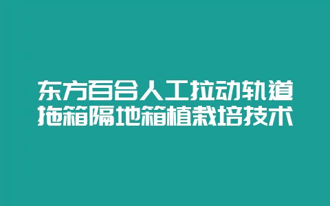 东方百合人工拉动轨道拖箱隔地箱植栽培技术-会东网