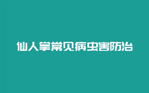 仙人掌常见病虫害防治-会东网