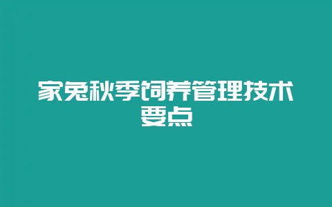 家兔秋季饲养管理技术要点-会东网