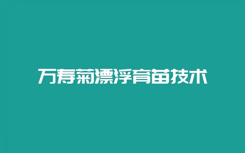 万寿菊漂浮育苗技术-会东网