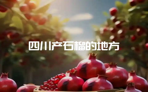 四川产石榴的地方-会东网