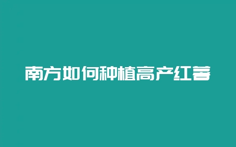 南方如何种植高产红薯-会东网