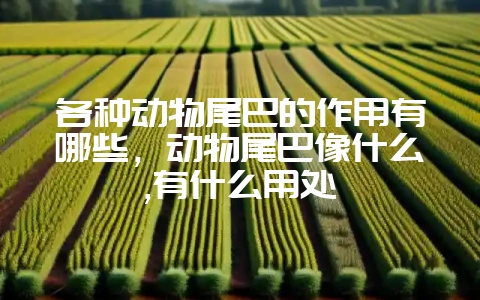 各种动物尾巴的作用有哪些，动物尾巴像什么,有什么用处-会东网