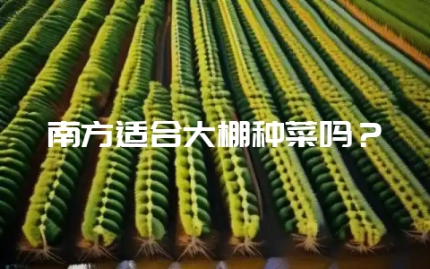南方适合大棚种菜吗？-会东网
