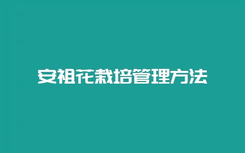安祖花栽培管理方法-会东网