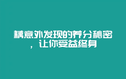 藕意外发现的养分秘密，让你受益终身-会东网