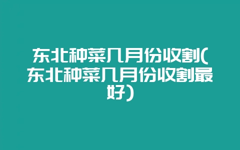 东北种菜几月份收割(东北种菜几月份收割最好)-会东网