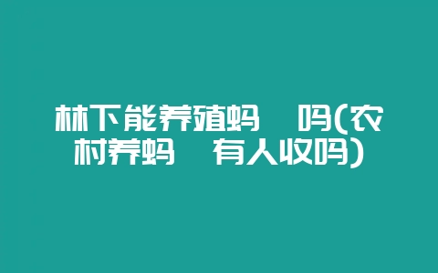林下能养殖蚂蚱吗(农村养蚂蚱有人收吗)-会东网
