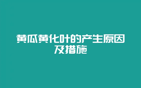 黄瓜黄化叶的产生原因及措施-会东网