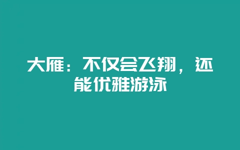 大雁:不仅会飞翔,还能优雅游泳插图 大雁:不仅会飞翔,还能优雅游泳插图