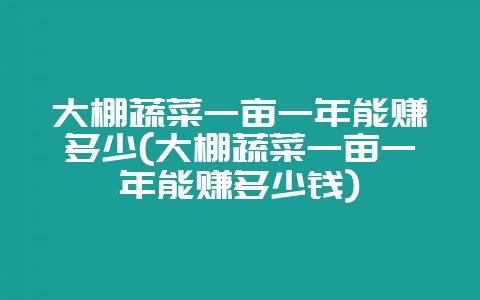大棚蔬菜一亩一年能赚多少(大棚蔬菜一亩一年能赚多少钱)-会东网