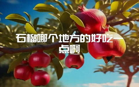 石榴哪个地方的好吃一点啊-会东网