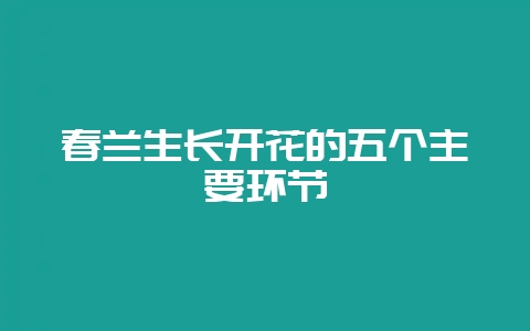 春兰生长开花的五个主要环节-会东网