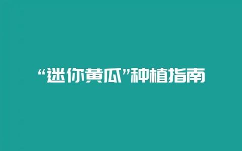 “迷你黄瓜”种植指南-会东网