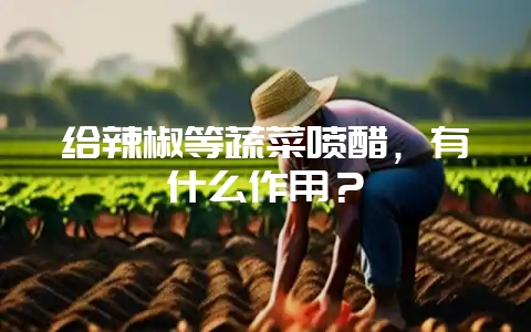 给辣椒等蔬菜喷醋，有什么作用？-会东网