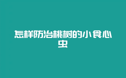 怎样防治桃树的小食心虫-会东网