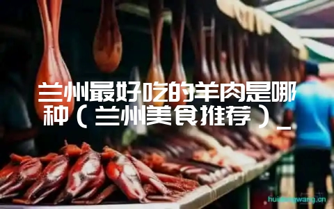 兰州最好吃的羊肉是哪种（兰州美食推荐）_-会东网