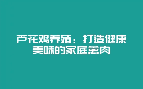 芦花鸡养殖：打造健康美味的家庭禽肉-会东网