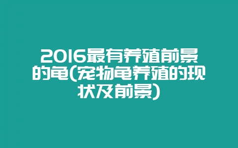 2016最有养殖前景的龟(宠物龟养殖的现状及前景)插图 2016最有养殖前景的龟(宠物龟养殖的现状及前景)插图