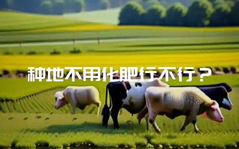 种地不用化肥行不行？-会东网
