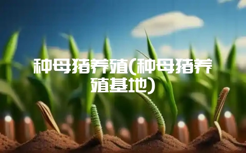 种母猪养殖(种母猪养殖基地)插图 种母猪养殖(种母猪养殖基地)插图