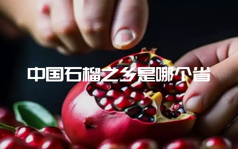 中国石榴之乡是哪个省-会东网