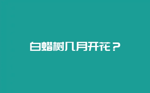 白蜡树几月开花？-会东网