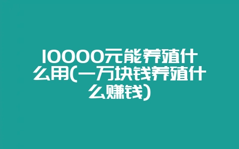 10000元能养殖什么用(一万块钱养殖什么赚钱)-会东网
