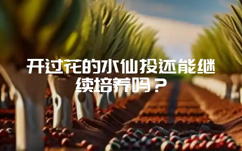 开过花的水仙头还能继续培养吗？-会东网