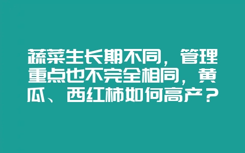 蔬菜生长期不同，管理重点也不完全相同，黄瓜、西红柿如何高产？-会东网